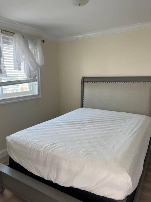 Hampton Beach Ocean Front Condo At The Surf Bagian luar foto